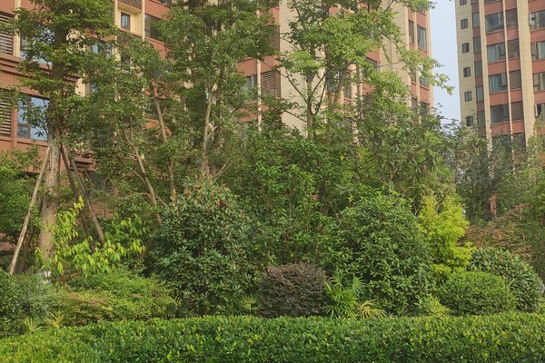 成都小区 崇州小区 崇州城区小区 御澜山