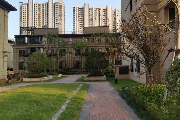 中梁东湖壹号院(别墅)