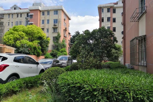 上海二手房 东城新村 > 杨海龙解读东城新村小区不足