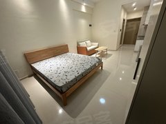广州南沙万顷沙珠江湾 公寓单间  47平方 配置齐全 仅需1450元出租房源真实图片