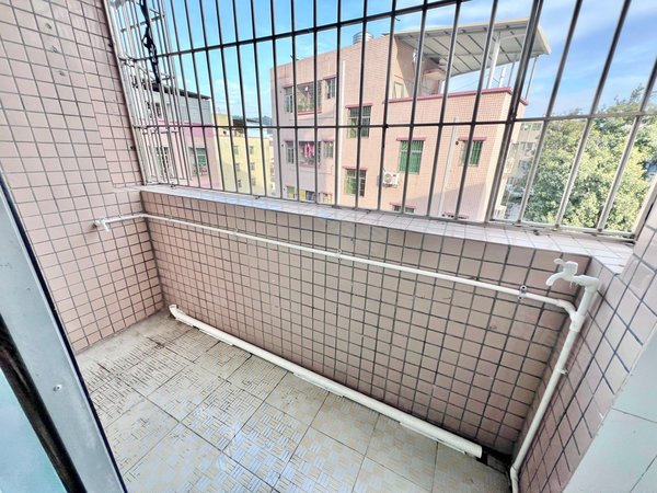 深圳龙岗平湖凤凰社区新村双拥街地铁口300米(无中介)一房一厅带阳台