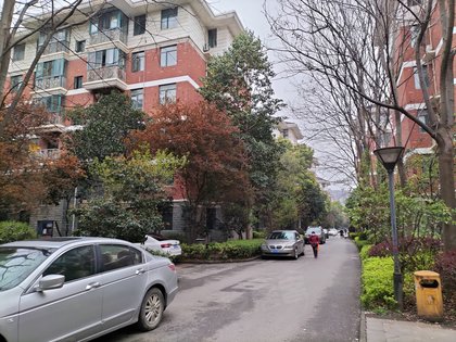 龙城天居园,巨龙大道161号 - 武汉龙城天居园二手房,租房,房价-武汉