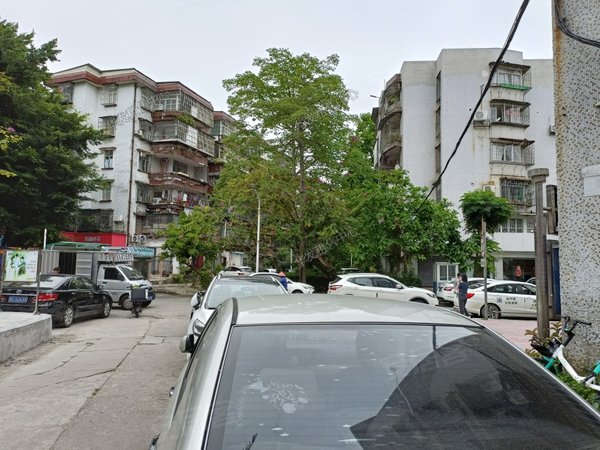 珠海香洲吉大吉大新村景园晓旁 吉大新村新装修3房租3千 南北通透