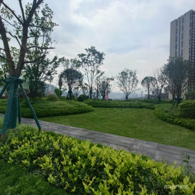 万州金科观澜g区3室2厅2卫110.01㎡南北45万