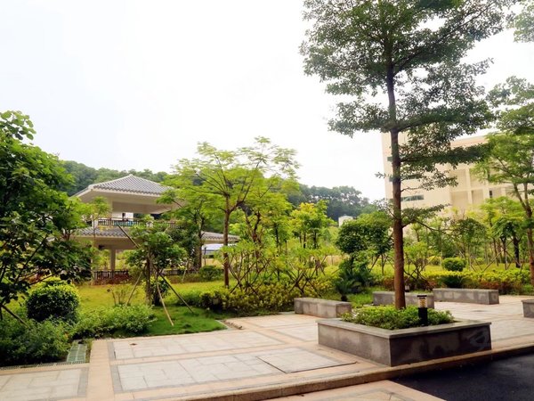 深圳宝安西乡鹤洲豪庭,如您所见桃源居旁,鹤洲豪庭大二房出租近12号线