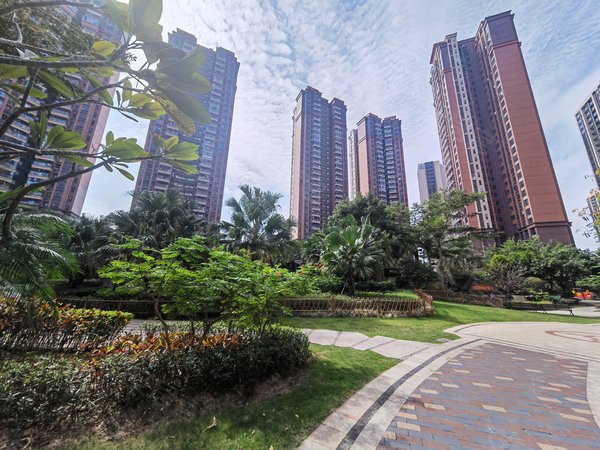 深圳光明公明中粮云景花园(南区)中粮云景花园 精装第一次出租 6号线