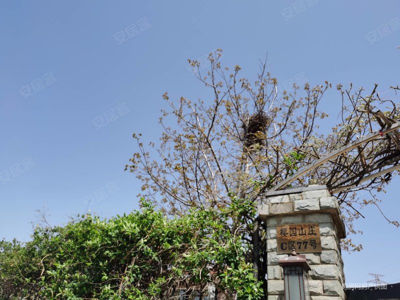 樱园山庄别墅前后大院子花园精装修主体墅附加房等地下车库另多套