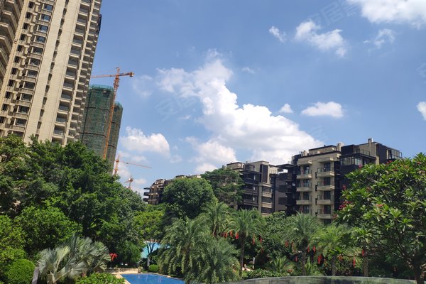 彰泰红优点,不足,彰泰红怎么样,彰泰红周边房产中介经纪人评价-南宁