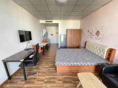 鄂尔多斯东胜凤凰城双满万达广场王府井附近精装修公寓出租出租房源真实图片
