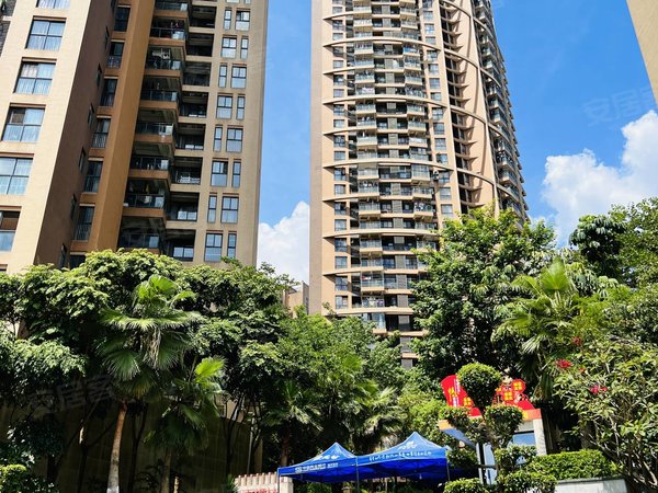 南宁兴宁望州岭香樟林香樟林 3室2厅1卫 南北通透 电梯房出租房源真实