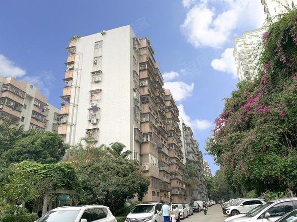 深圳南山白石洲沙河荔园新村世 界 之窗 荔园新村 精装3房 朝南