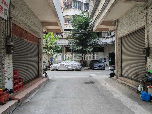 广州番禺市桥江南新邨江南新村3房精装 南向家私家电齐 看房方便 诚