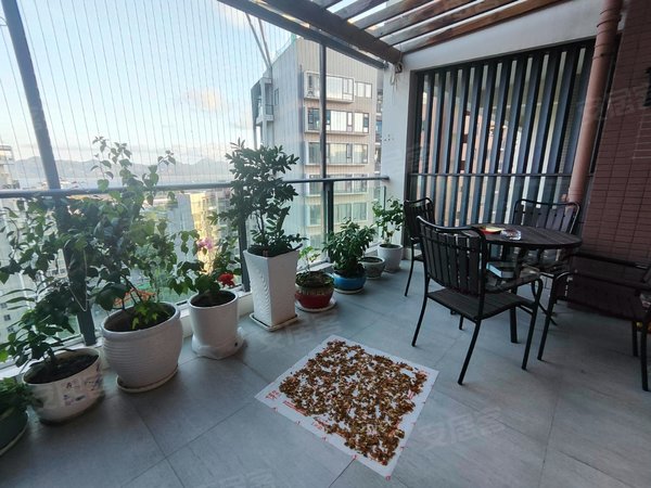 深圳南山后海澳城花园(南区)澳城花园一期 高层看海景 自住豪装全齐