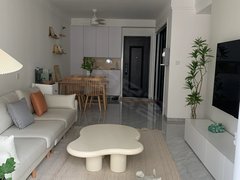 徐州金山桥开发区高铁站可月付 高铁站金龙湖地铁口 珑湾 绿地之窗 环球港 华道维音出租房源真实图片