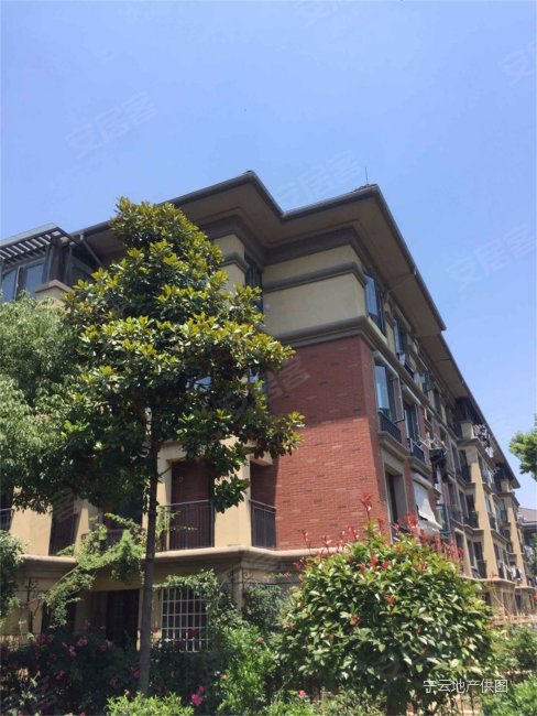 竹山路5号线地铁口 精装花园洋房 天泽苑 蓝天水岸 雍景园,雍景园小区