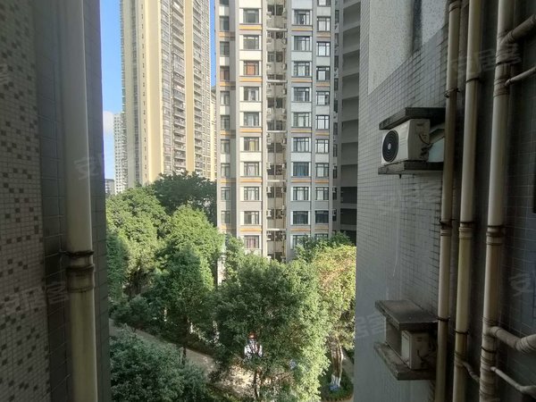 【多图】丽江花园德字楼,南浦租房,丽江花园德字楼 1室1厅1卫 2400.