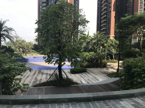 【多图】星河银湖谷,坂田租房,星河双子塔旁 精装修4房双卫 房子干净