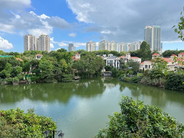 深圳南山华侨城波托菲诺纯水岸(一期别墅)纯水岸临湖别墅出租,正看湖