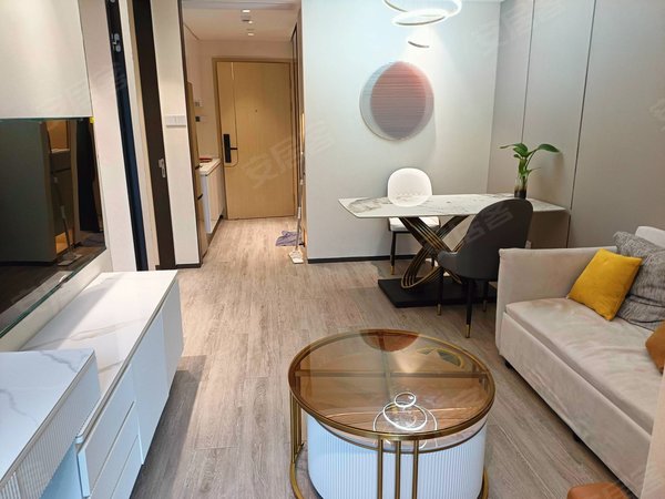 深圳南山南油华联城市中心荔林地铁口 华联城市中心u舍精装2房装修