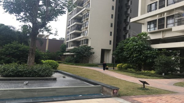 英德新天地王座