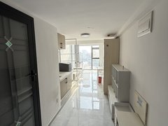 武汉洪山光谷东光谷大悦城华为小米总部光谷东一居室出租房源真实图片