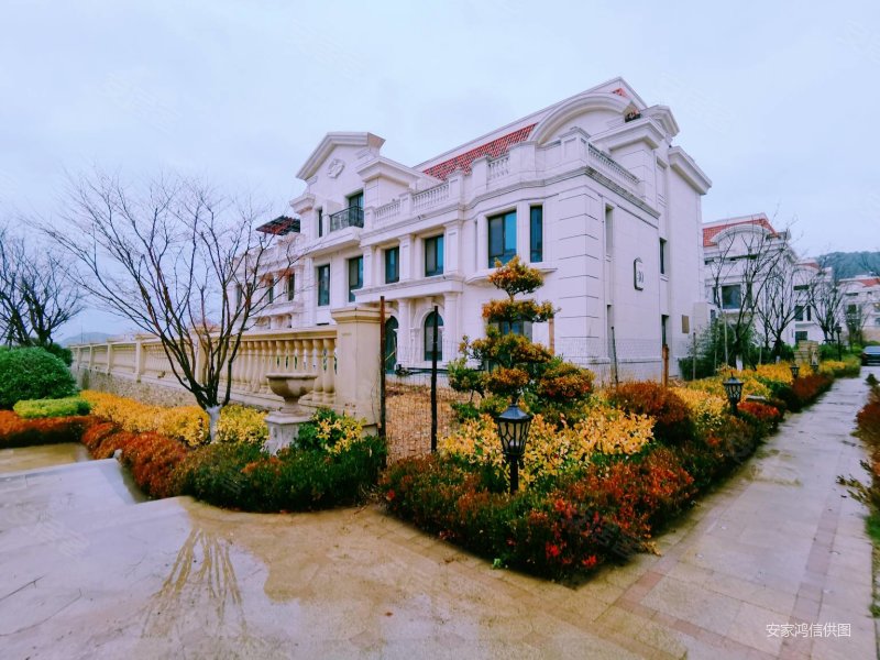 鲁商蓝岸丽舍(别墅)二手房,1600万,4室3厅,4卫,210平米-青岛安居客