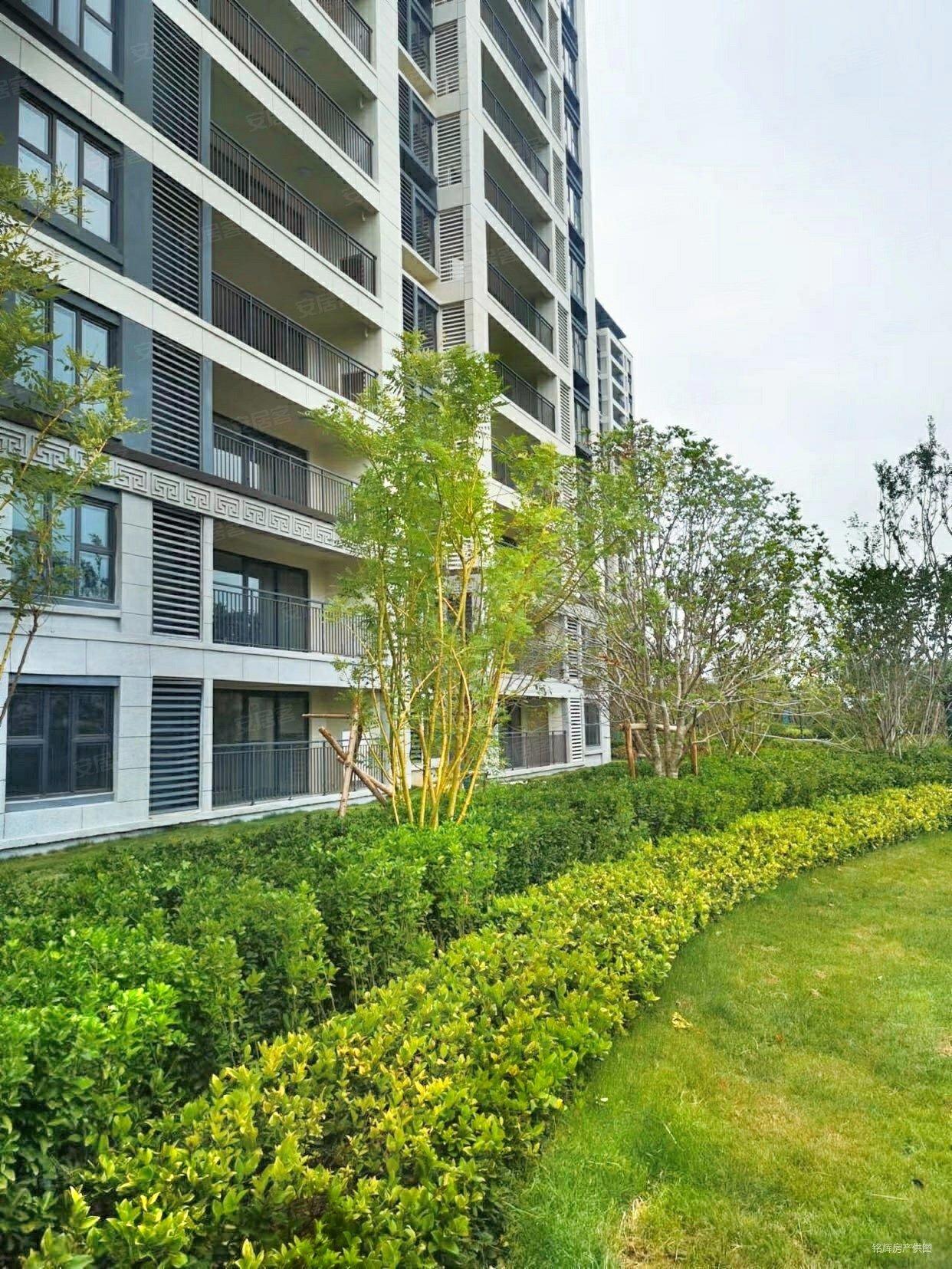 金茂霞客岛生态城3室2厅2卫135万11841平方米