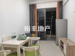 湛江廉江廉江城区新收（鼎盛花园）精装2房 压一付一  今日可入住出租房源真实图片