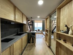 南京浦口桥北弘阳广场 精装民宿风LOFT 包物业 民水民电 时代中心二期出租房源真实图片