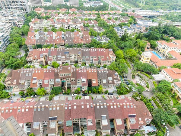 深圳南山科技园新世界豪园二期硅谷独栋别墅出租,使用率很高.