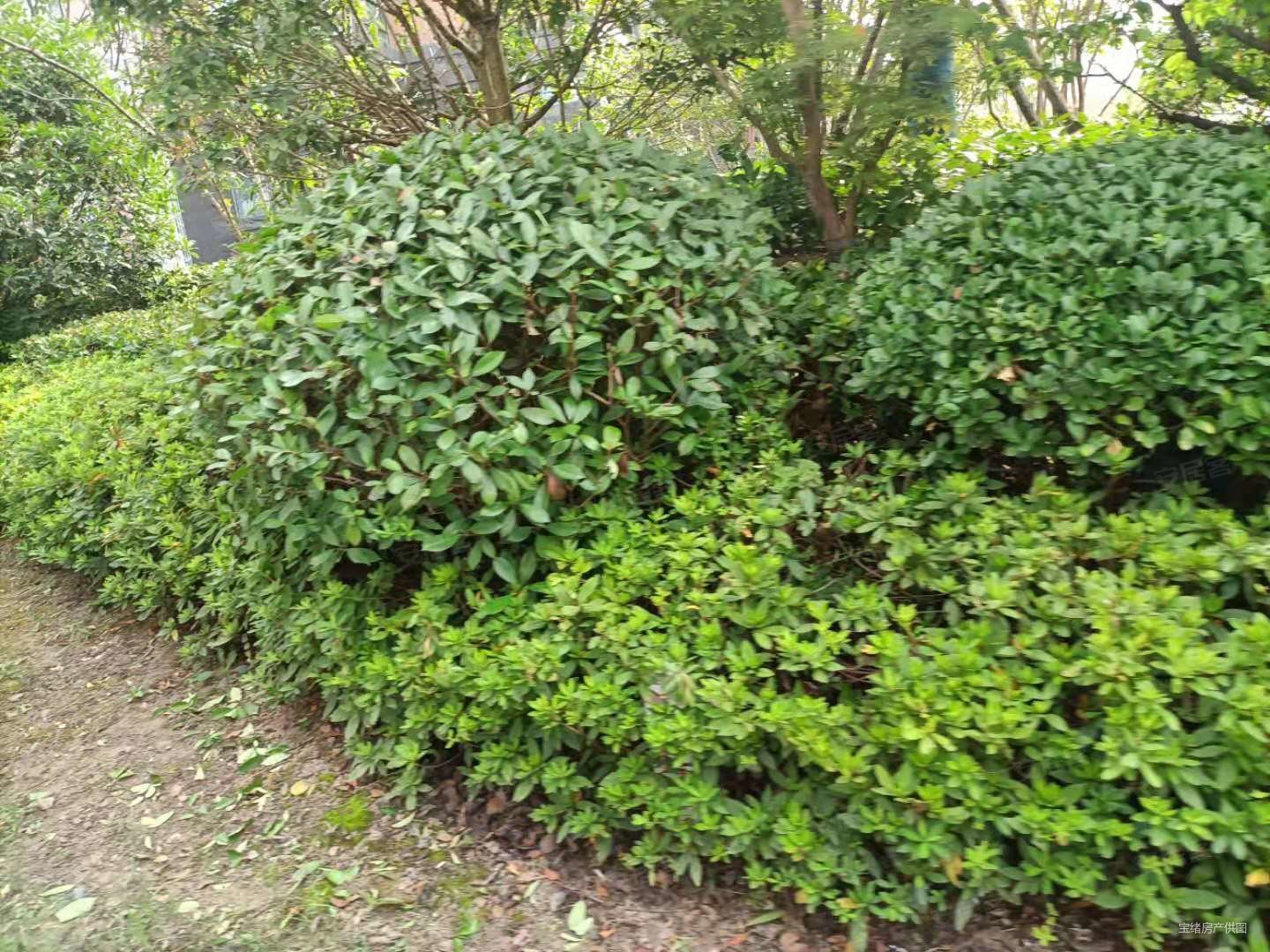 冠城大通蓝郡松苑