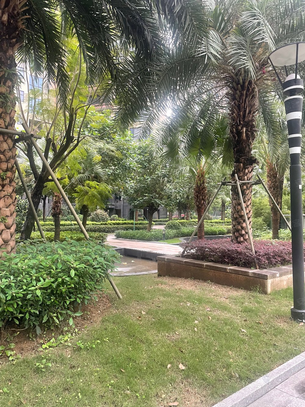 聚龙天誉湾3室2厅2卫106.36㎡南88万