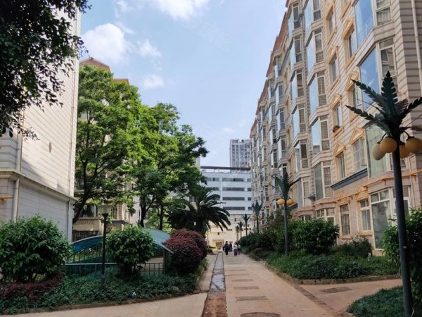 昆明五华莲花片区长城小区五华区教场路网红街蓝花楹戎锦花园旁长城