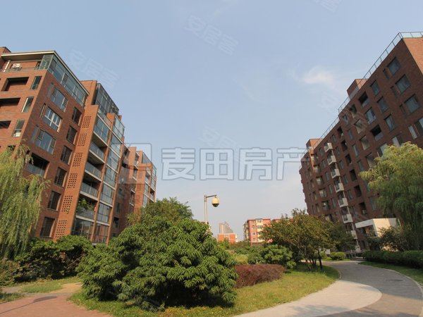 【多图】北京香颂,望京租房,北京香颂 2室1厅1卫 电梯房 配套齐全 精