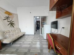 武汉蔡甸恒大绿洲中国健康谷健康新天地 1室1厅1卫  电梯房 精装修42平米出租房源真实图片