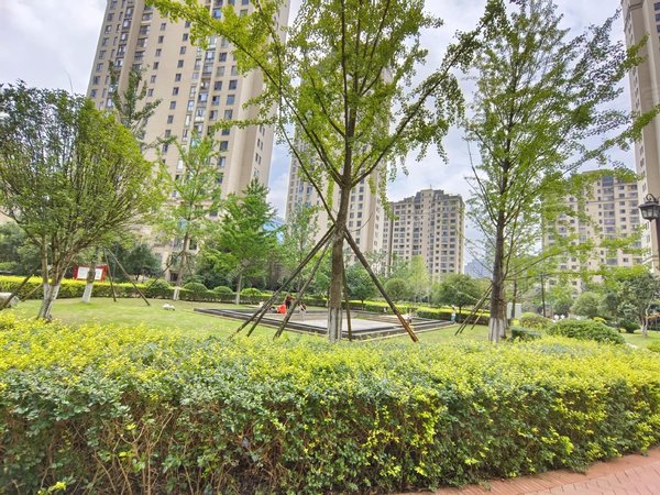 贵阳观山湖会展城远大美域高新区相望远大生态风景三期(美域)精装2房