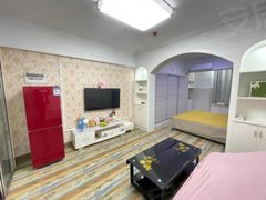 湘潭岳塘建设路口步行街公寓 1室1厅1卫 精装修 电梯房 押一付一 可短租出租房源真实图片