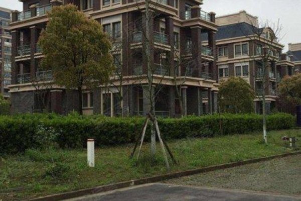 天和湖滨家园(别墅)