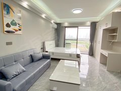 株洲天元工业大学新校区真房真价 实景拍摄 工业大学旁 精装公寓 业主好说话出租房源真实图片