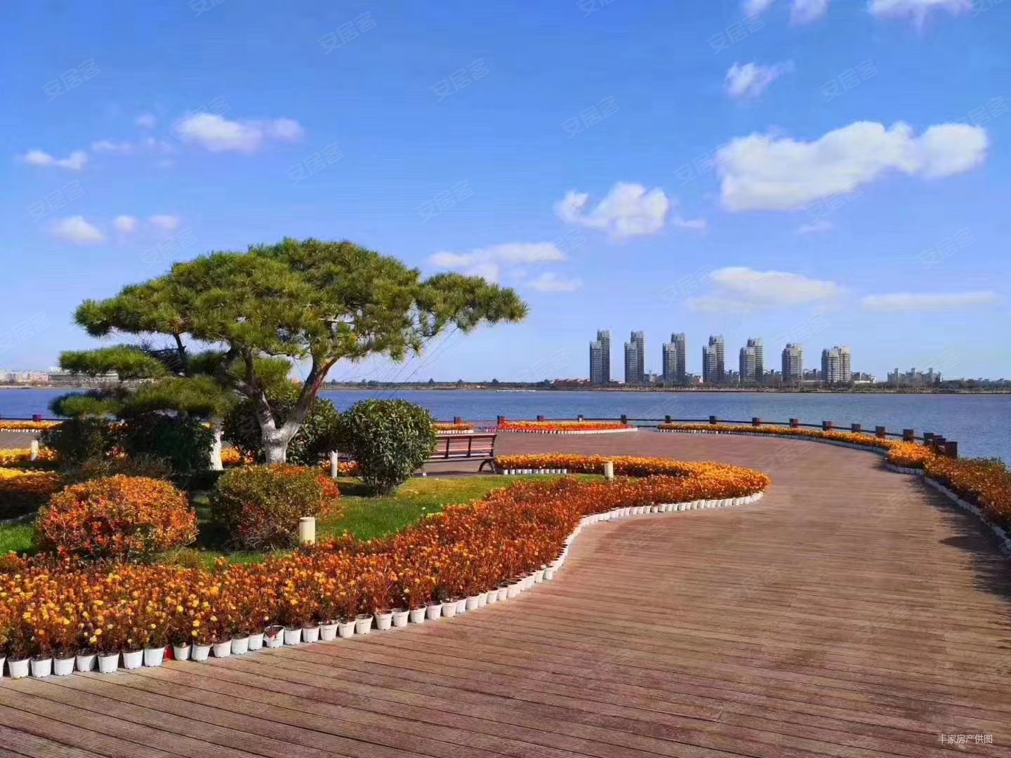 万亩黑松林,长青海世界(商住楼)二手房,66万,2室2厅,1卫,82平米-荣成