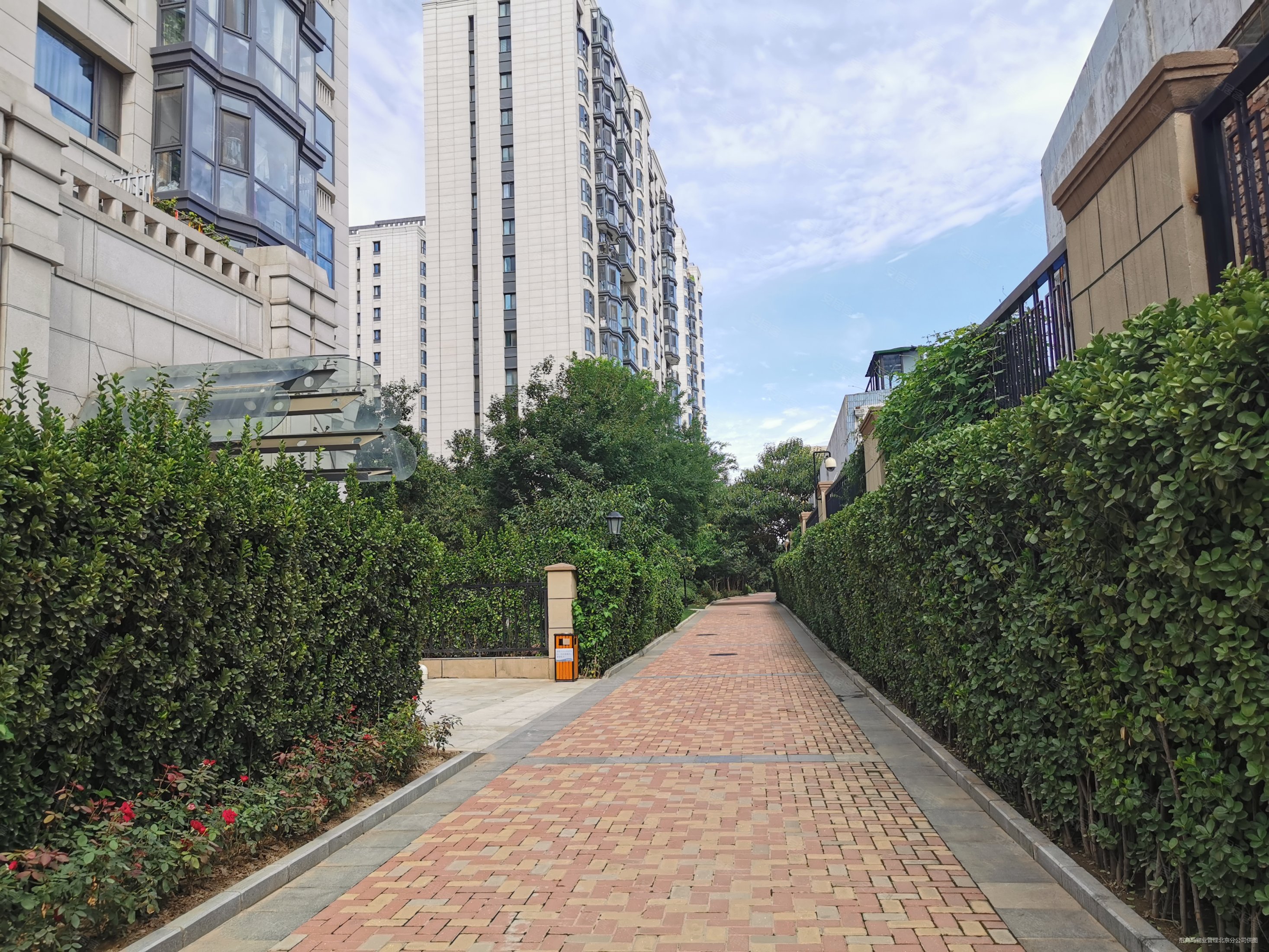 报价可议楼栋位置不临街臻园南北通透四居室采光全天无遮挡