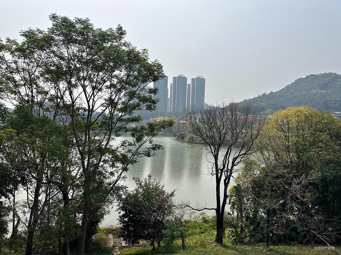 笋中信山语湖湖边独栋别墅花园一千方起入住率高业主急卖