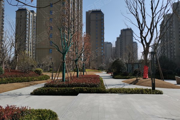 商丘小区 柘城小区 黄山路小区 金沙如意城