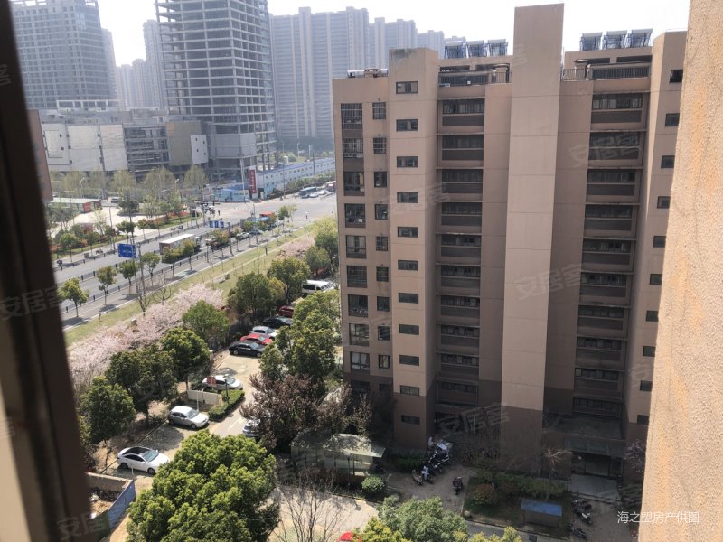 南北通透边户双南多套多套,麒麟紫荆城晨光苑二手房,92.