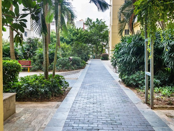 深圳龙华龙华青年城邦园(地铁站口)青年城邦园 1室1厅1卫 电梯房 精