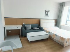 合肥包河五里庙精装电梯阳台单间 可月付 尧渡河 五里庙 工经学院出租房源真实图片