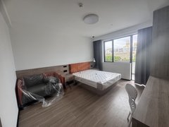 上海大学 嘉定城区品质公寓一居室带阳台 拎包入住随时看房