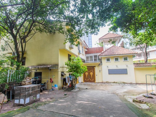 深圳南山蛇口龟山别墅龟山别墅 9室5厅6卫 350平 精装修 南北通透出租