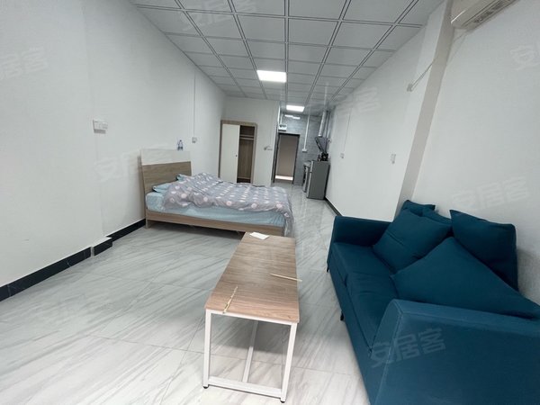 深圳宝安桃源居鹤洲村鹤洲村 1室0厅1卫 豪华装修 电梯房 南北通透