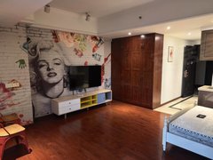 东莞道滘道滘城区钜隆碧琴湾(商住楼) 1室1厅1卫 家电齐全 精装修出租房源真实图片